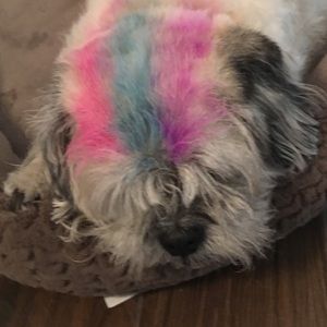 Meet your Posher, Kara